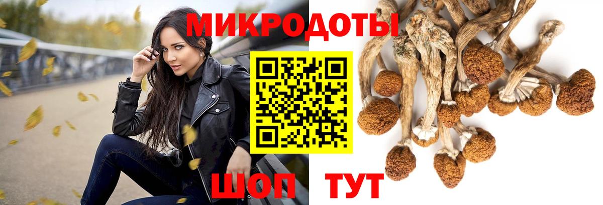 Псилоцибиновые грибы GOLDEN TEACHER  Вход с VPN  где продают наркотики  Рыбинск 
